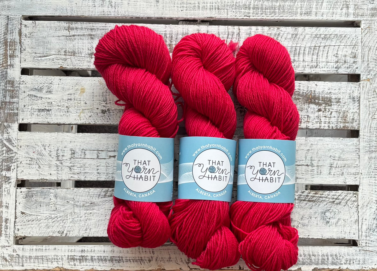Poinsettia Red Squishy DK