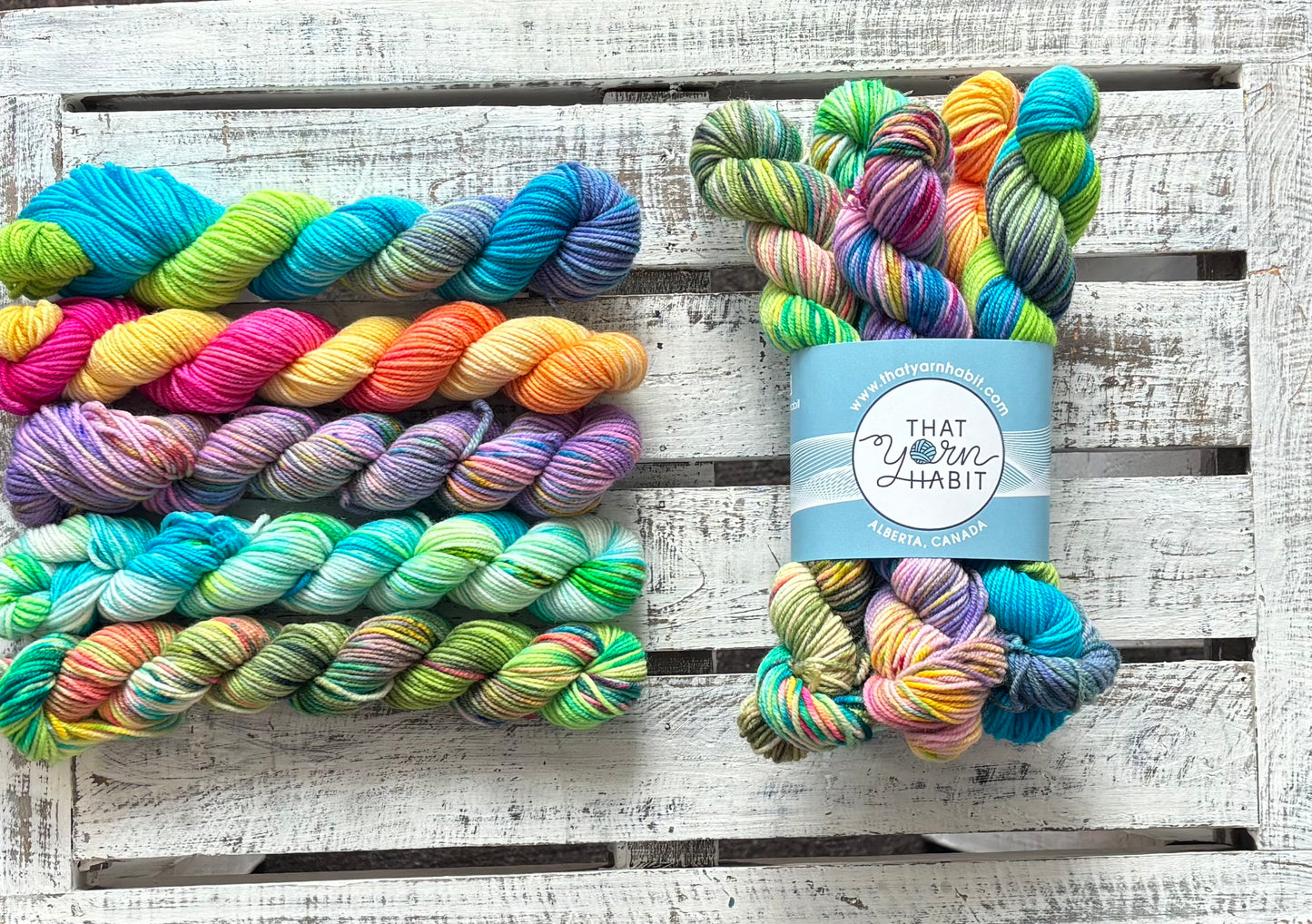 Pool Party Collection Mini Skein Set