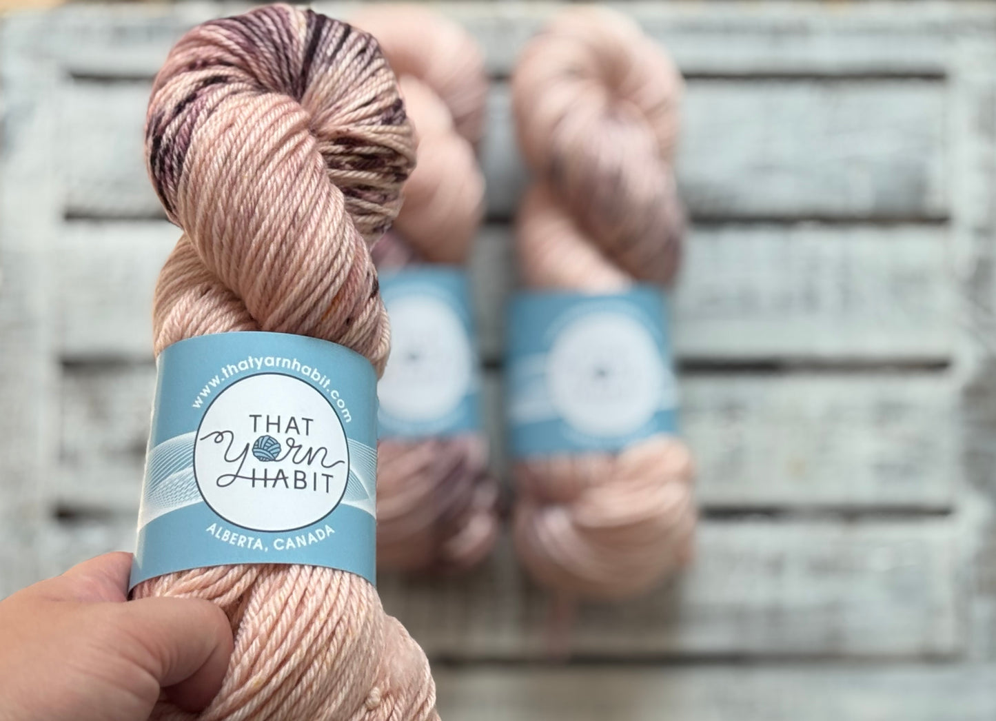 Wild Thistle Cushy Worsted