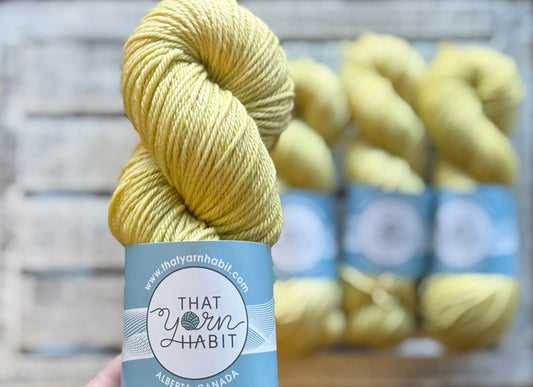 Prickly Pear Cushy Worsted