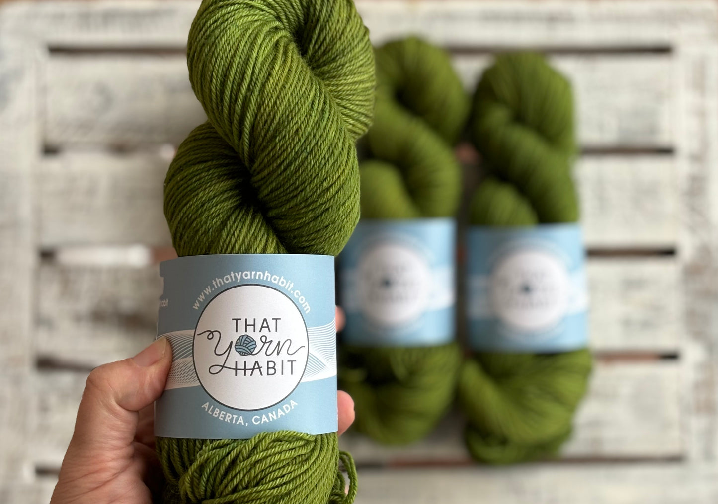 Avocado Toast Squishy DK