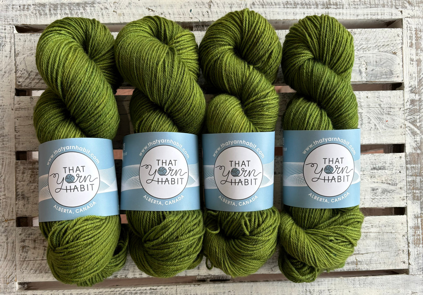 Avocado Toast Squishy DK