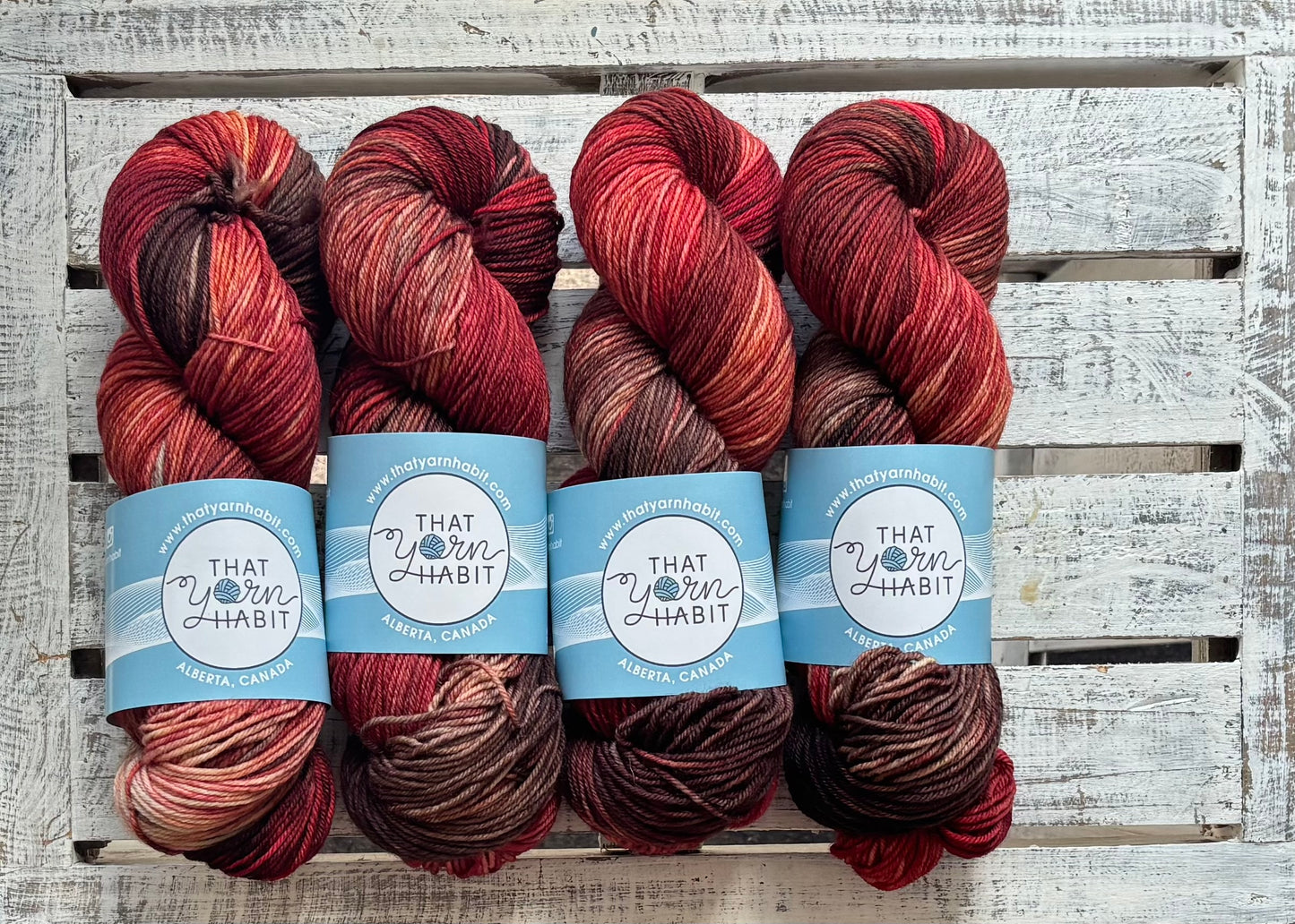 The Bear Collection Family Style Squishy DK