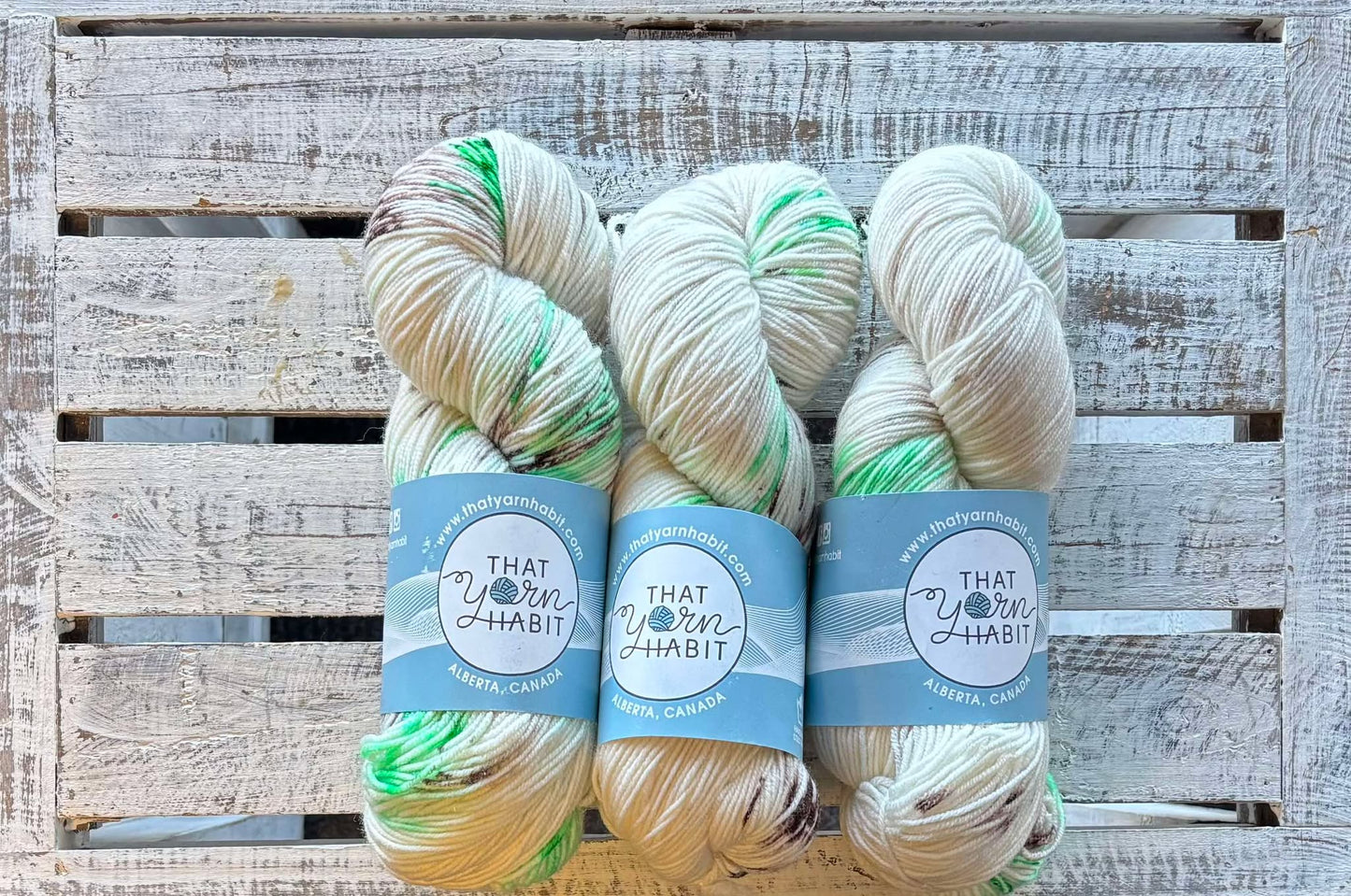 Leighton's Teddy Bear Fingering 80/20