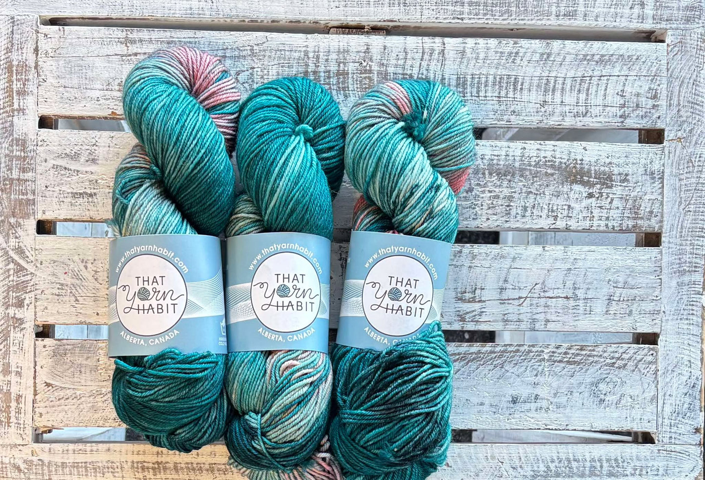 Going Coastal Squishy DK