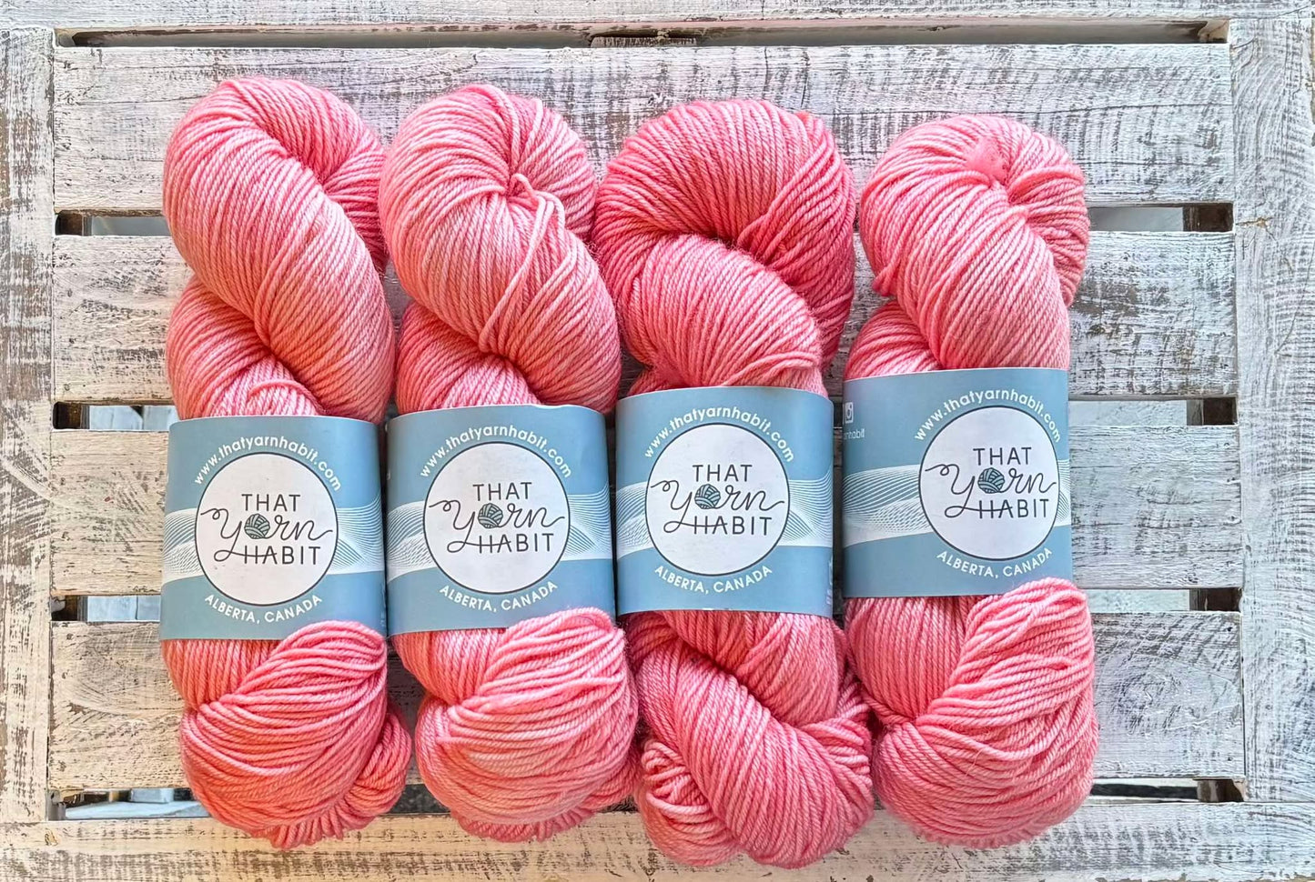 Life in Pink Squishy DK