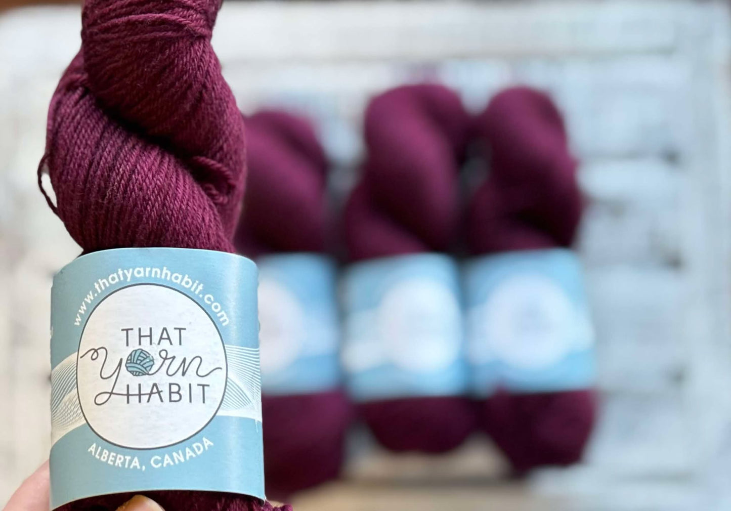 Cabernet All Day Squishy DK