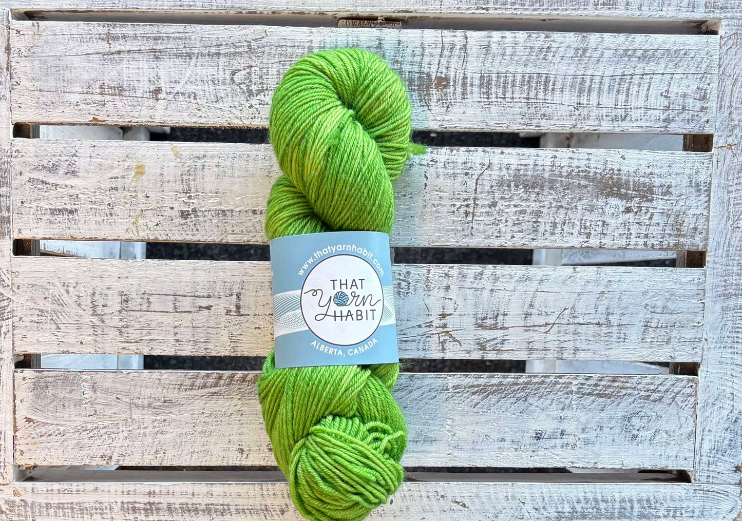 Green Apple Squishy DK