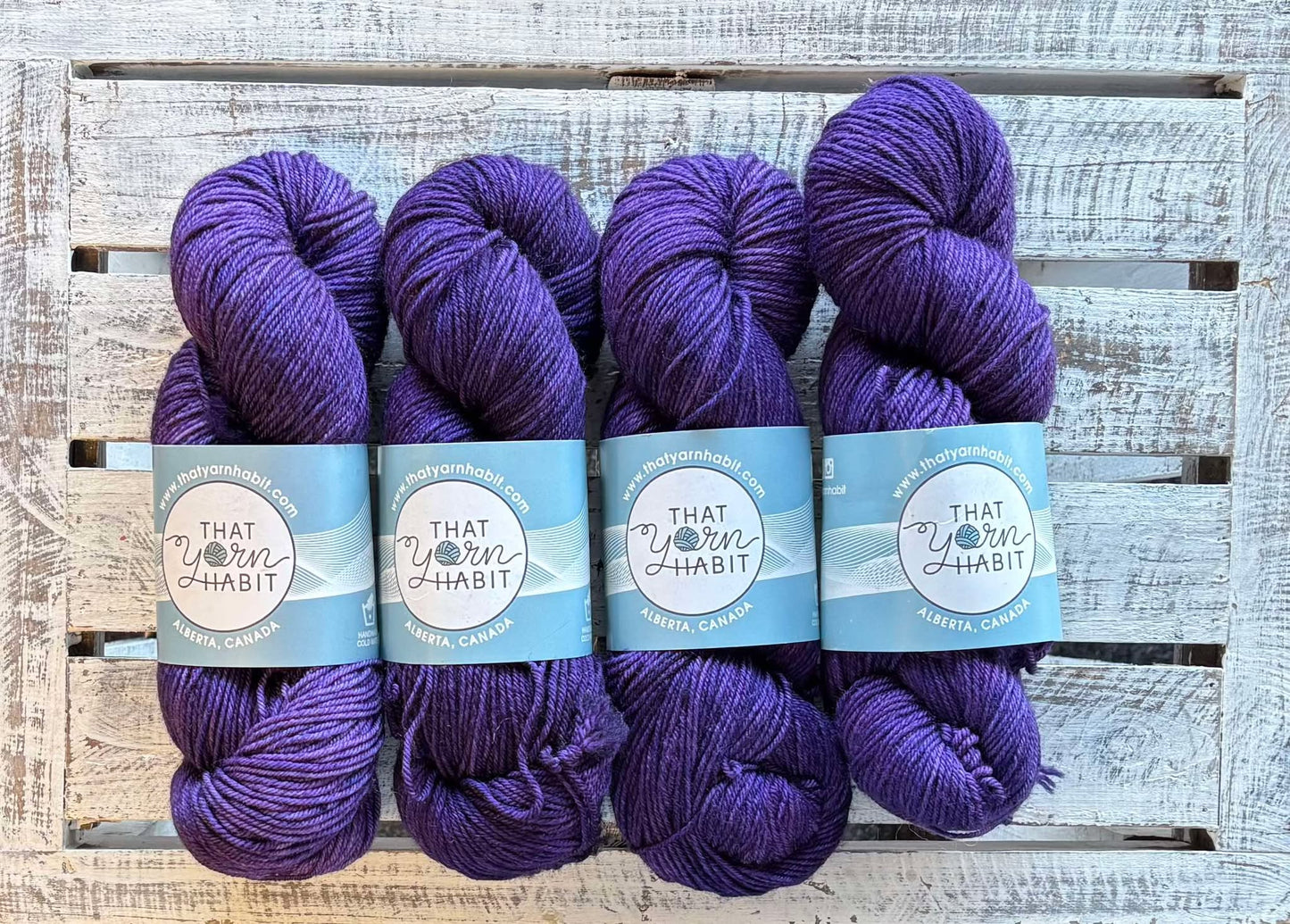 Forbidden Night Squishy DK