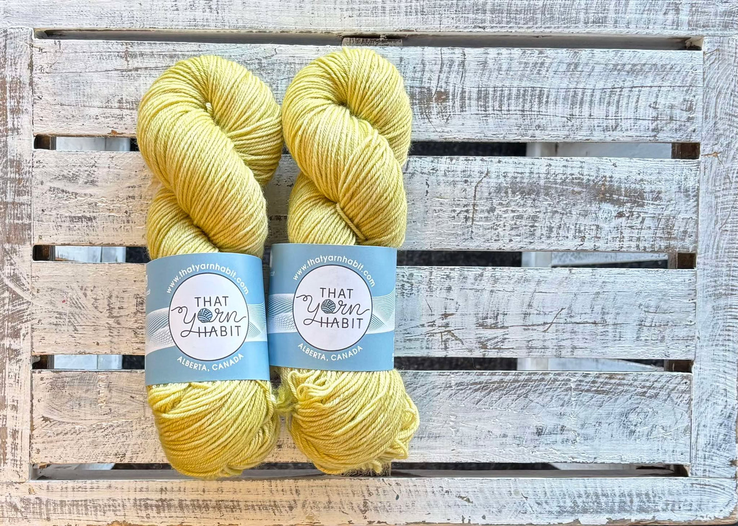 Prickly Pear Squishy DK