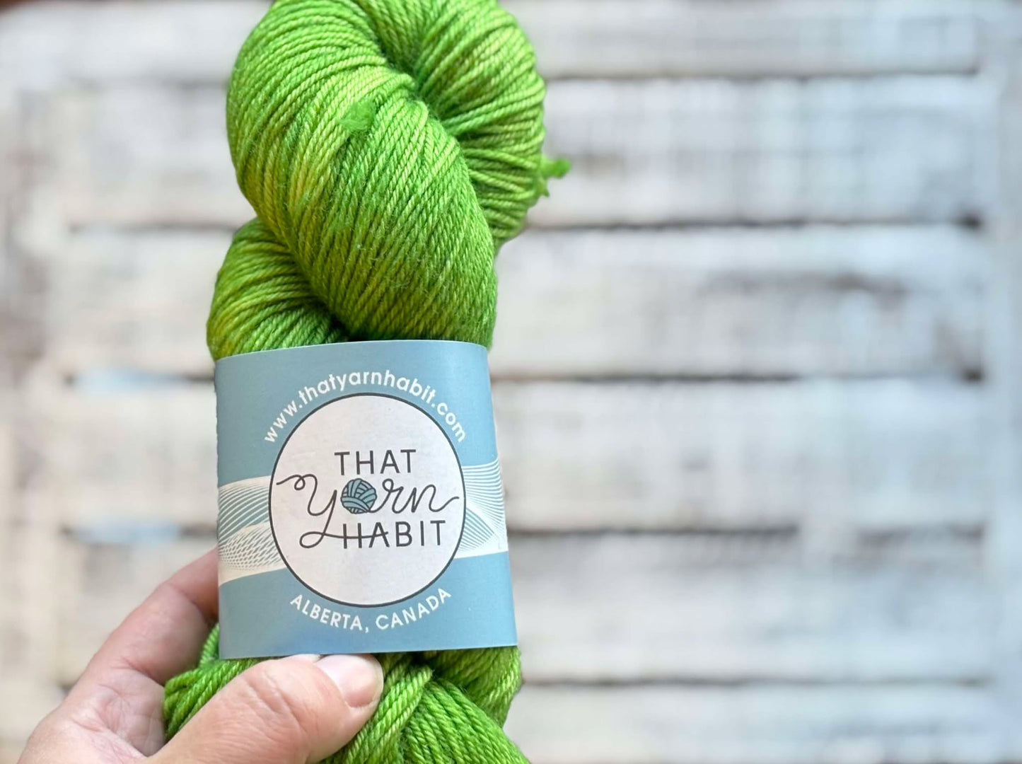 Green Apple Squishy DK
