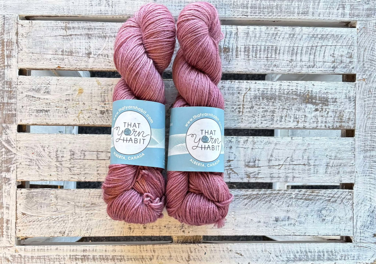 Amnesia Squishy DK