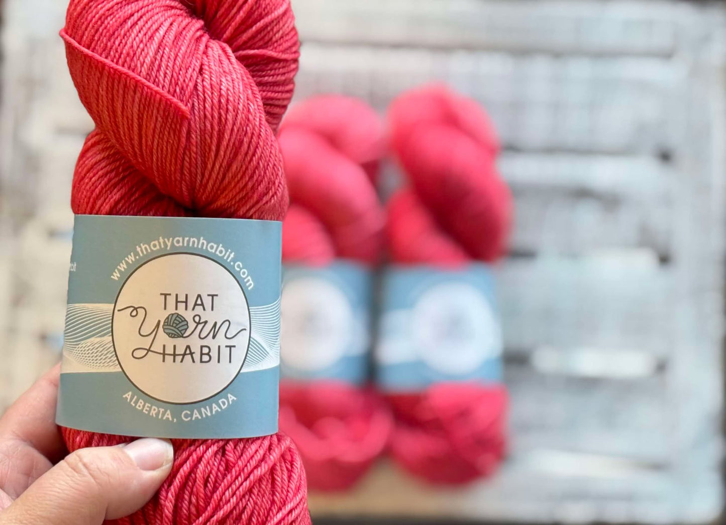 Cherry Blossom Squishy DK