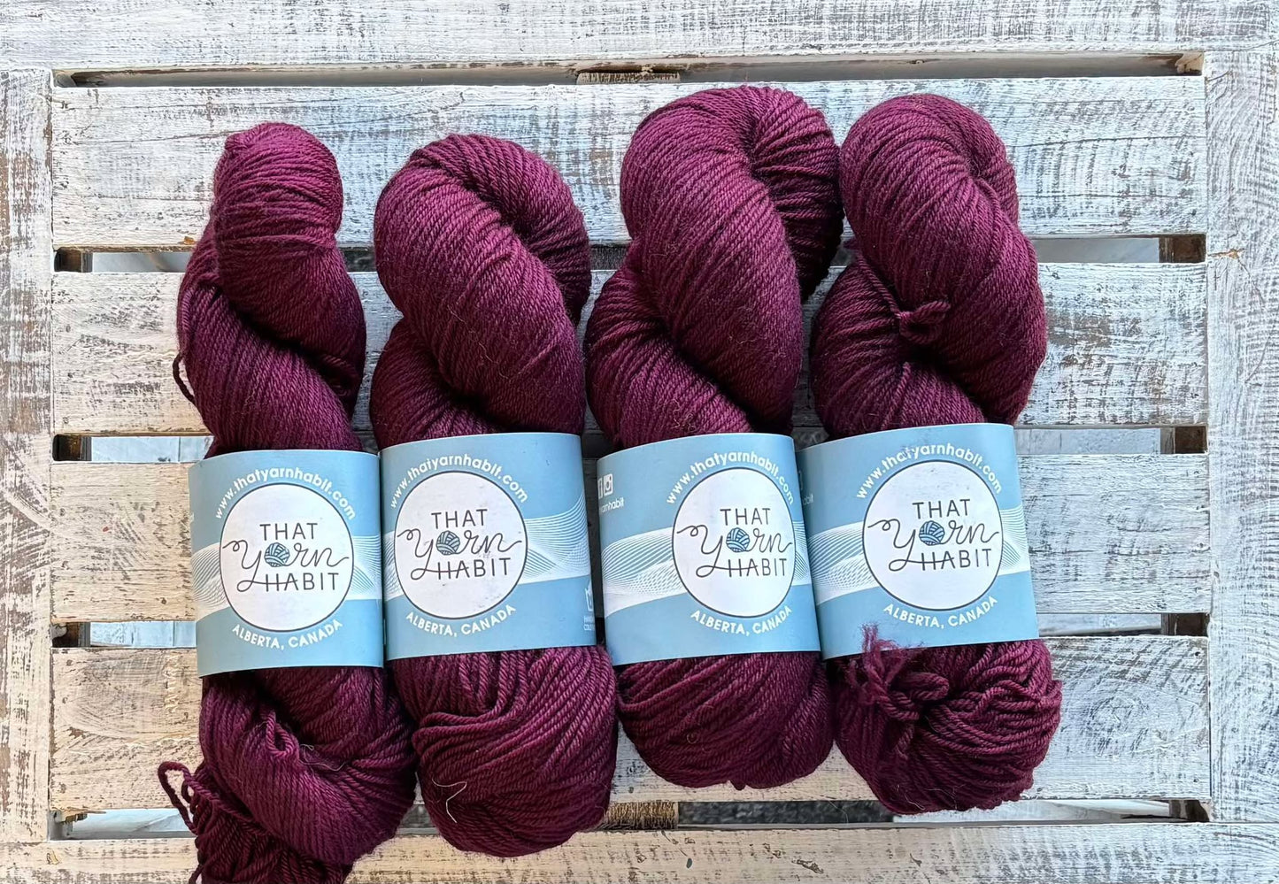 Cabernet All Day Squishy DK