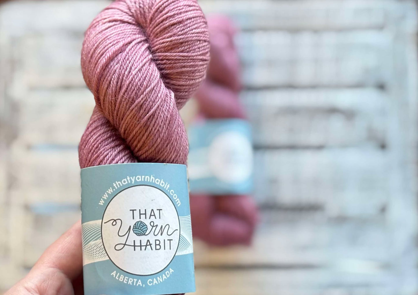 Amnesia Squishy DK
