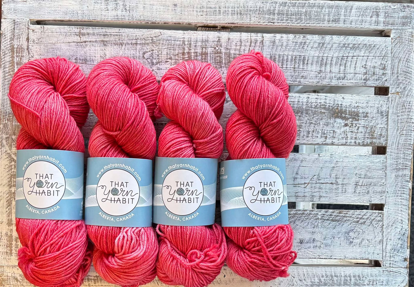 Cherry Blossom Squishy DK