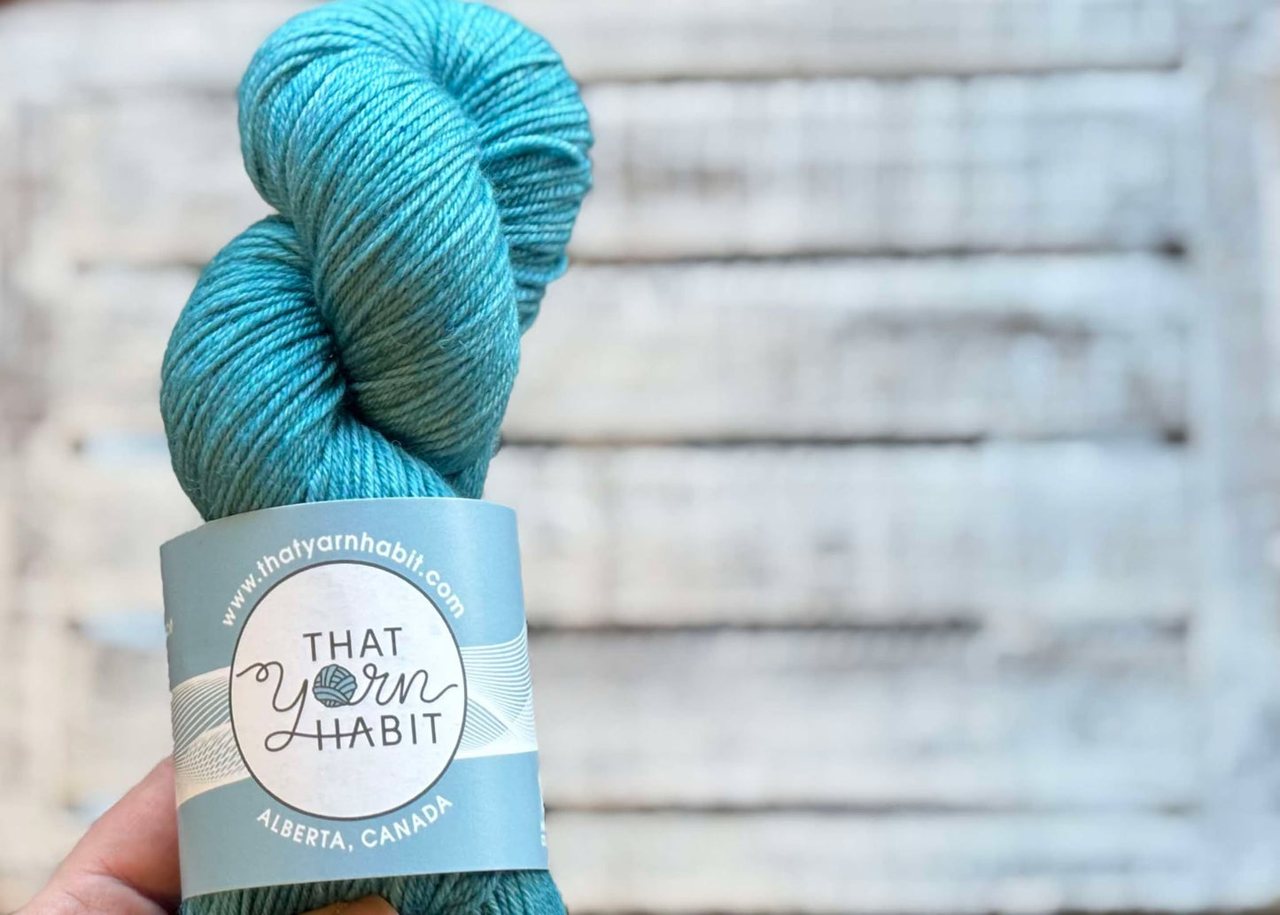 Ocean City Squishy DK