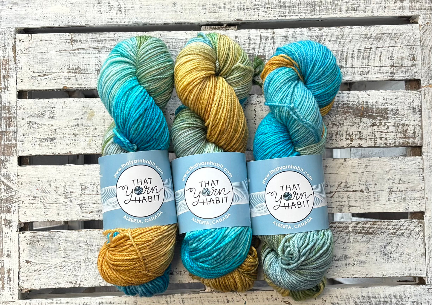 Grande Prairie Squishy DK