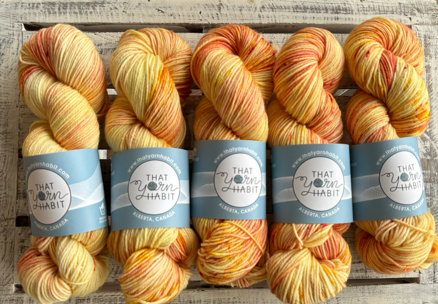 Lemonade Stand Squishy DK