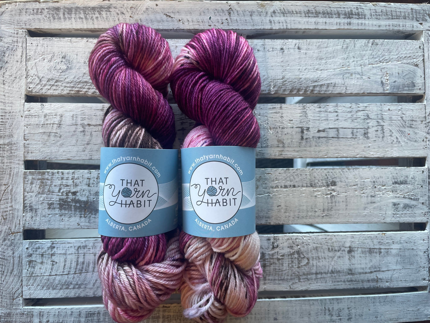 Saskatoon Pie Squishy DK