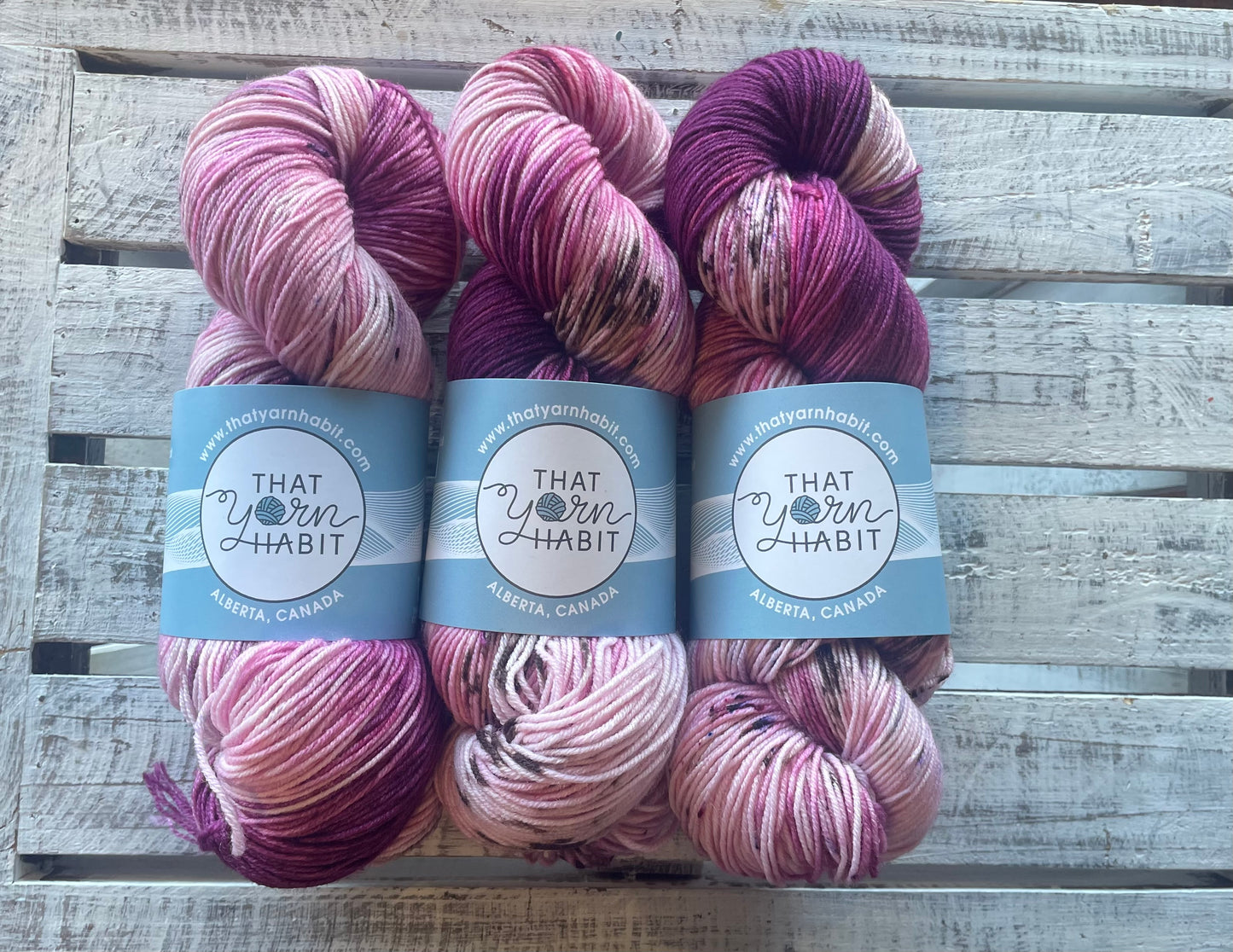 Saskatoon Pie Fingering 80/20