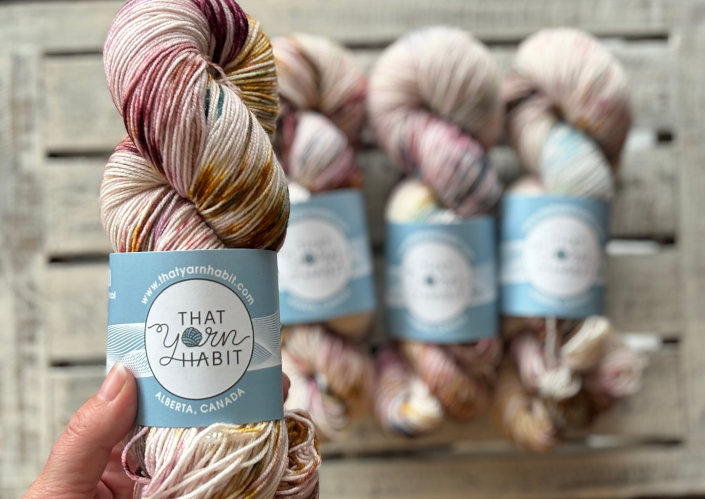 Pebbled Shore Fingering 80/20