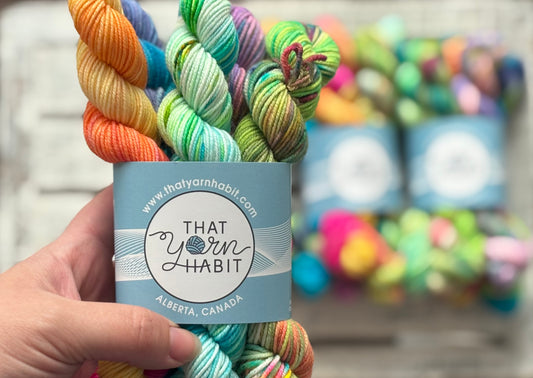 Pool Party Collection Mini Skein Set