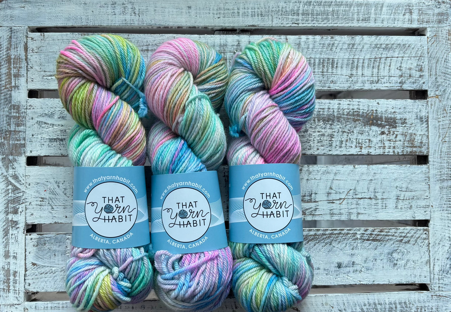 Kaleidscope Cushy Worsted