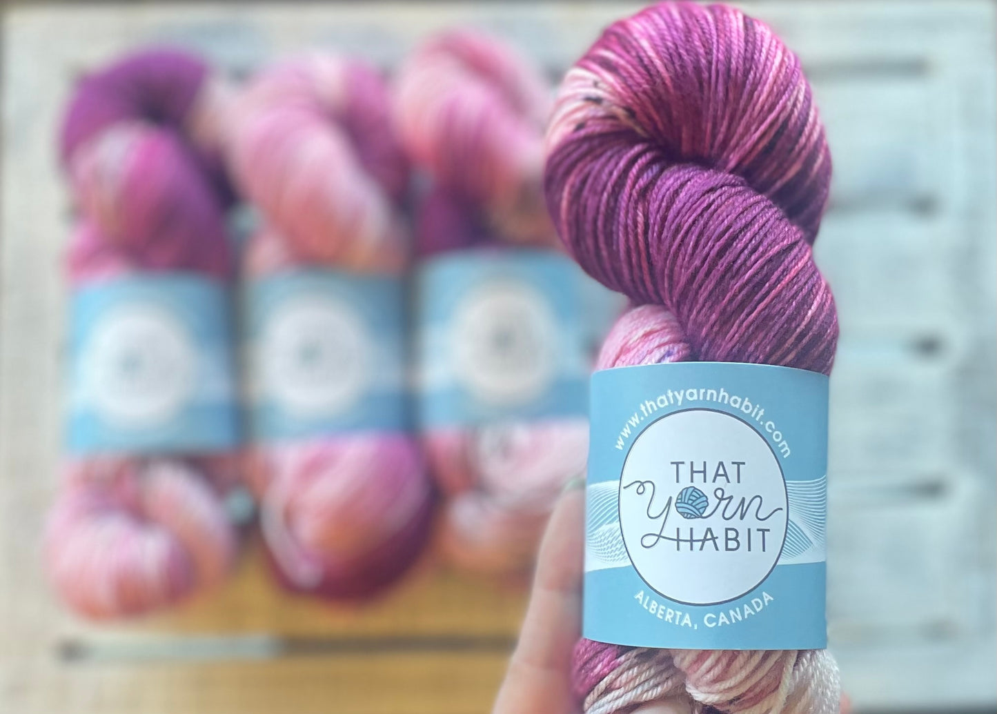 Saskatoon Pie Squishy DK