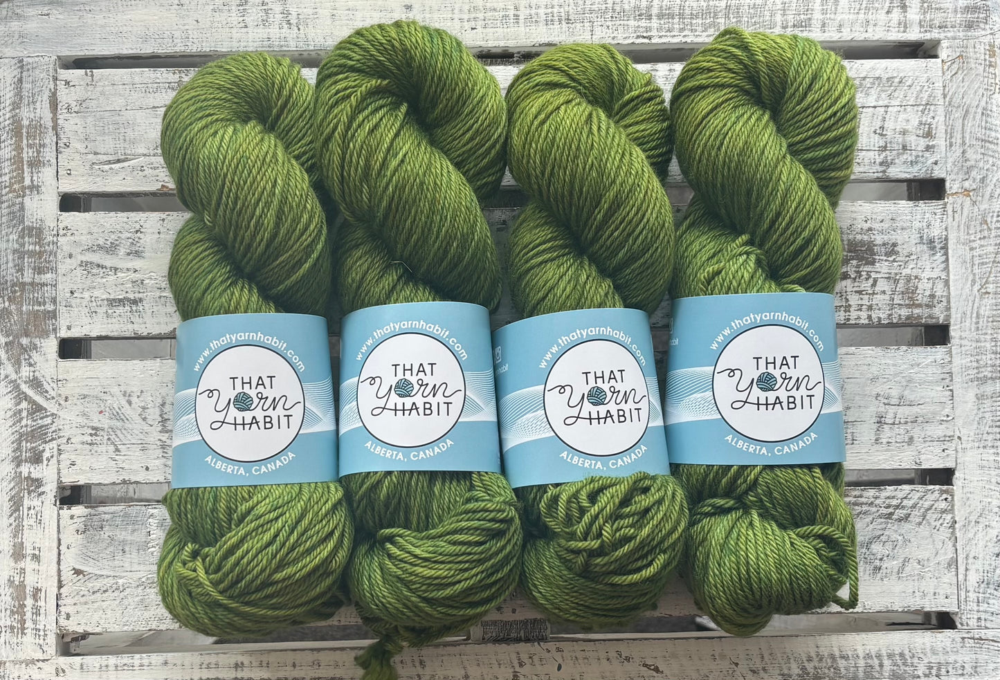 Avocado Toast Cushy Worsted