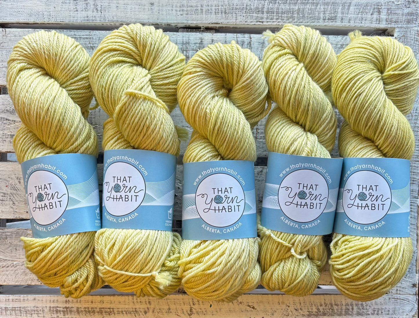 Prickly Pear Cushy Worsted
