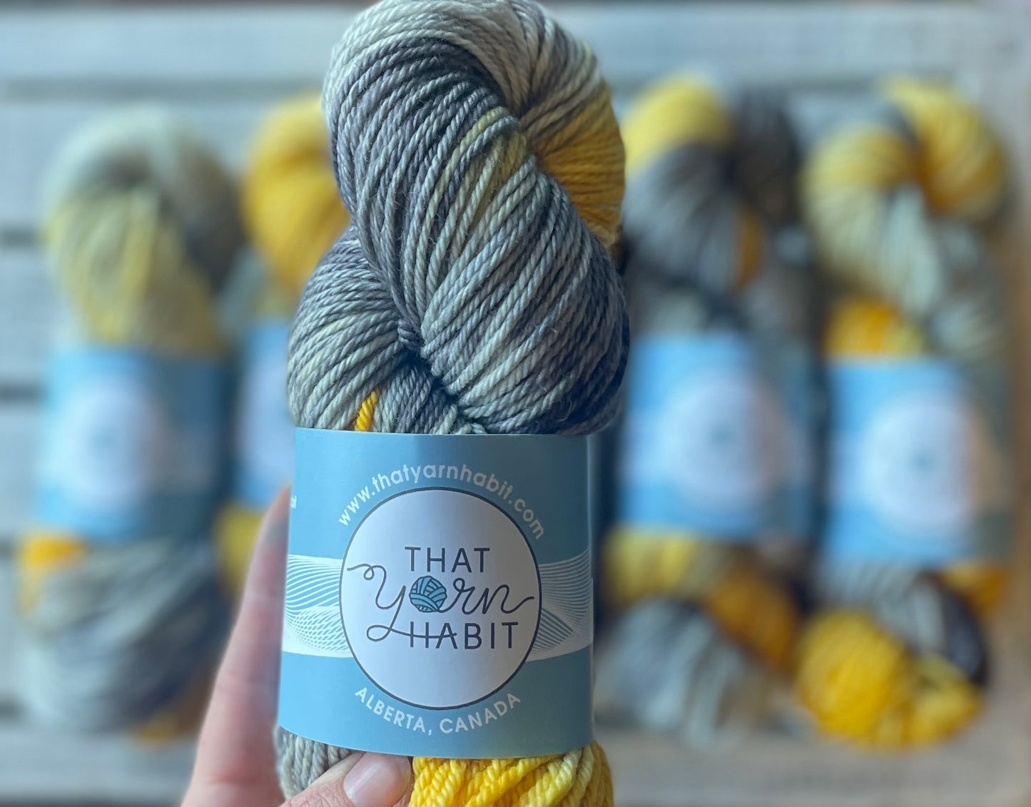 Harry Potter Collection: Gringotts Vault 687 Cushy Worsted