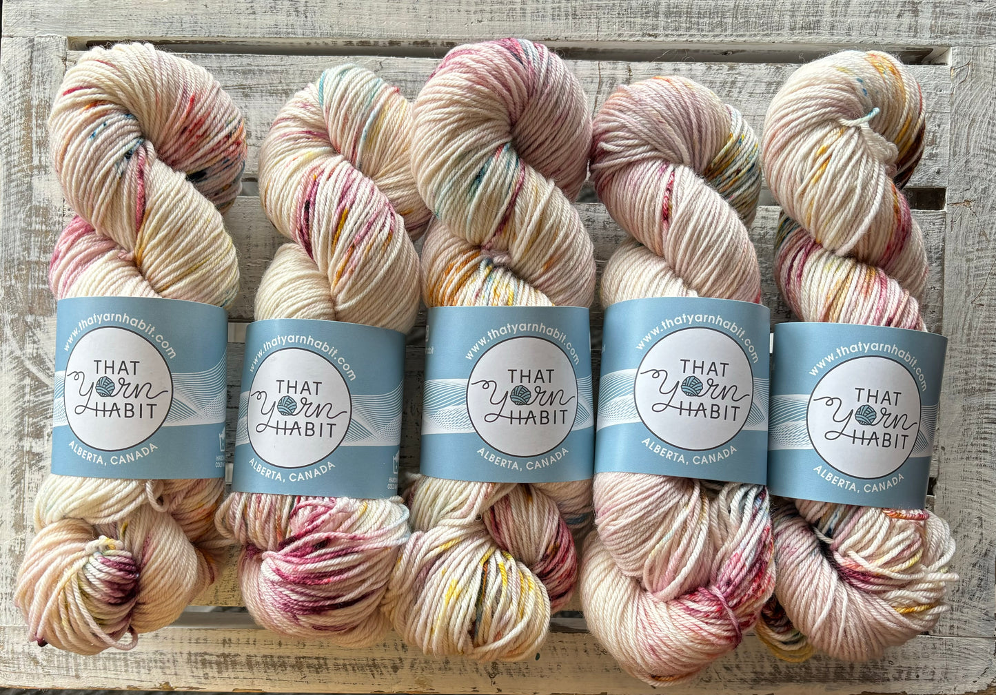 Pebbled Shore Squishy DK