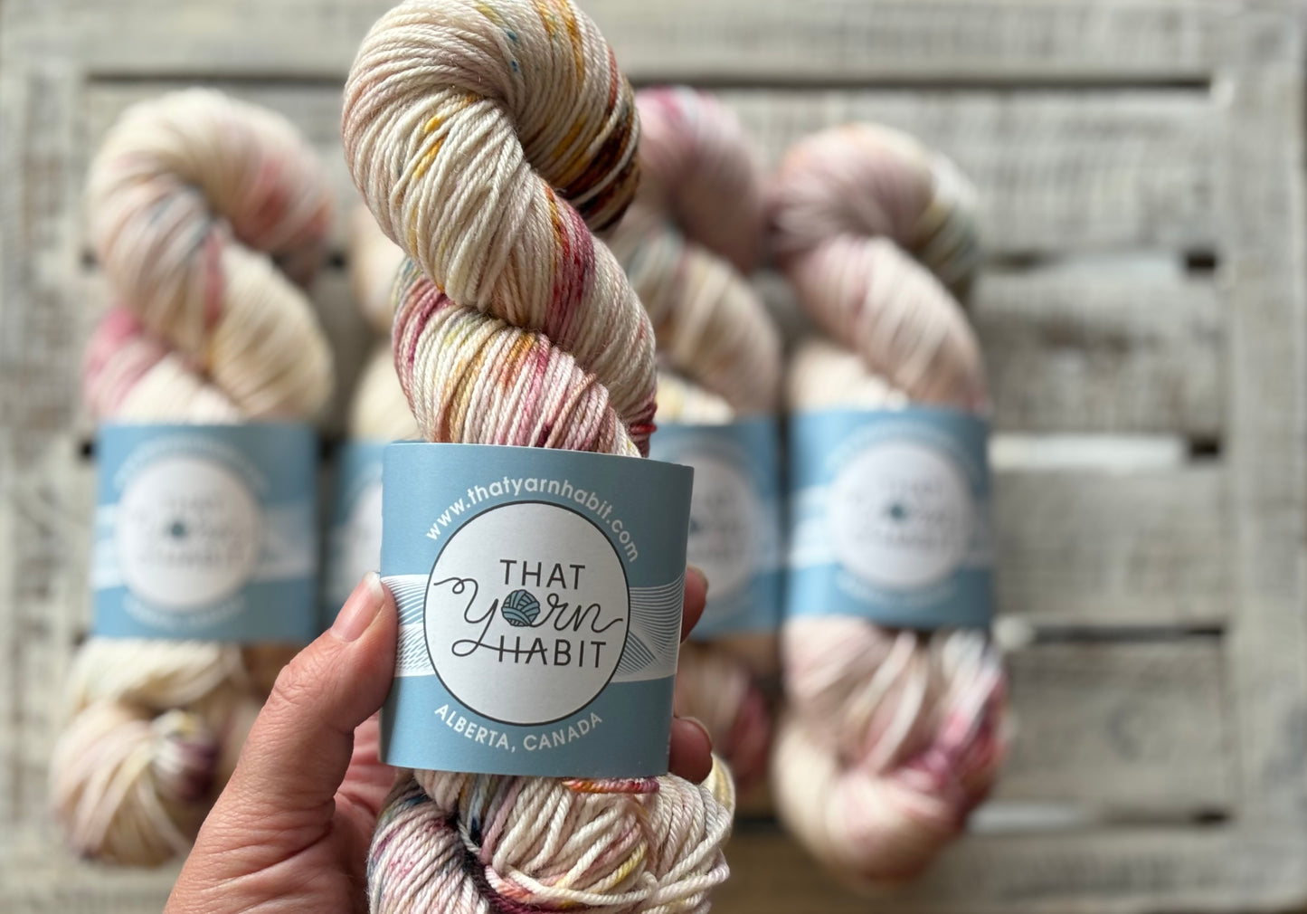 Pebbled Shore Squishy DK