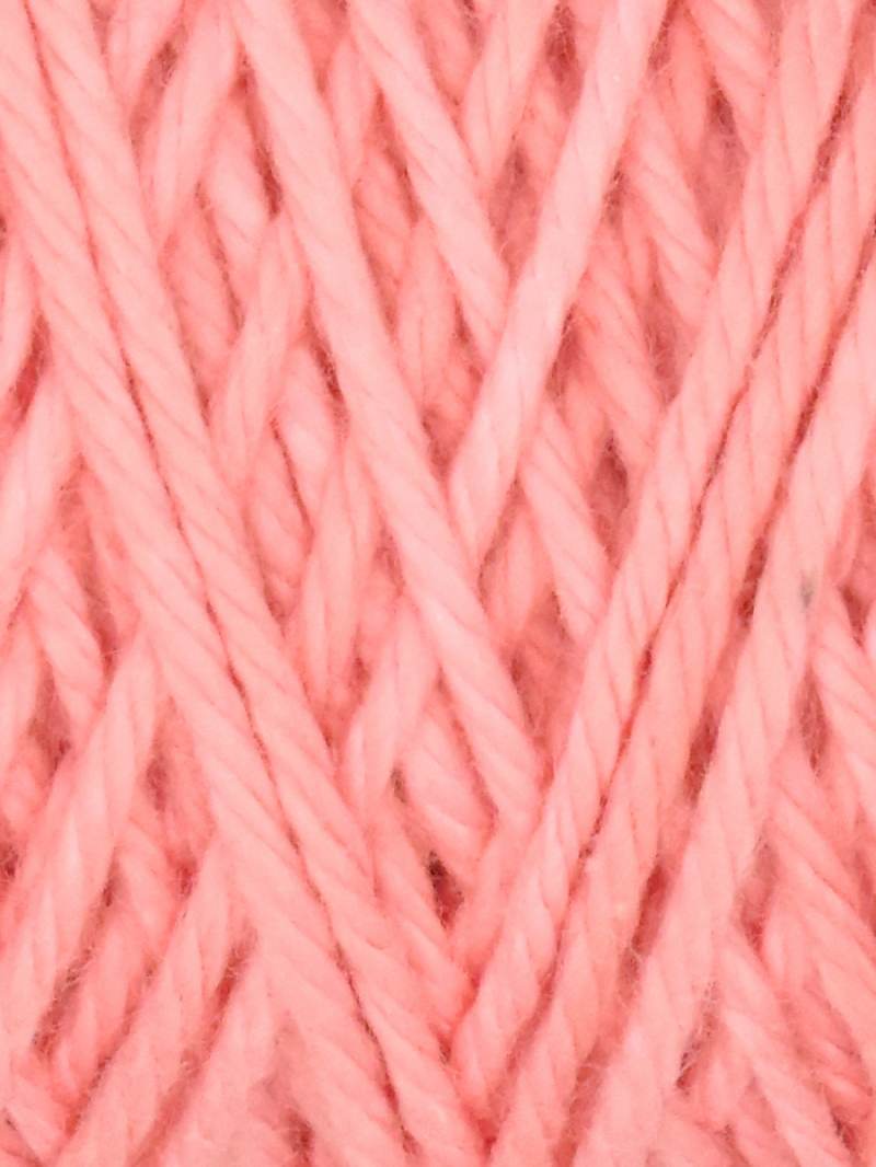 Carnation Coastal Cotton