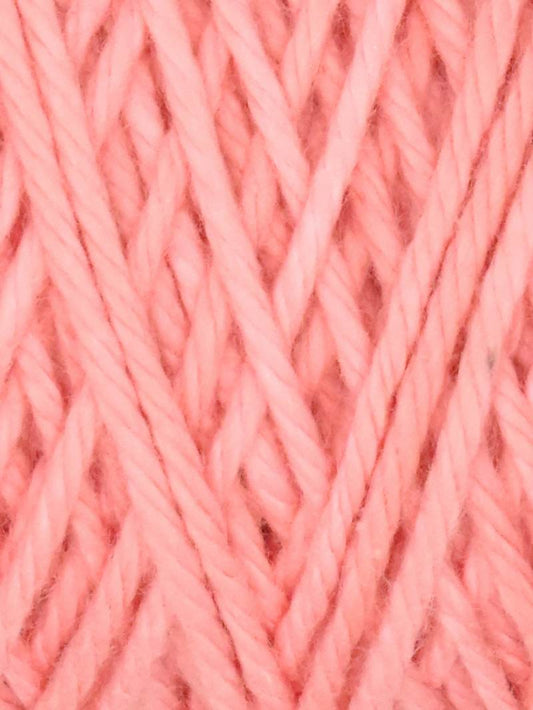 Carnation Coastal Cotton