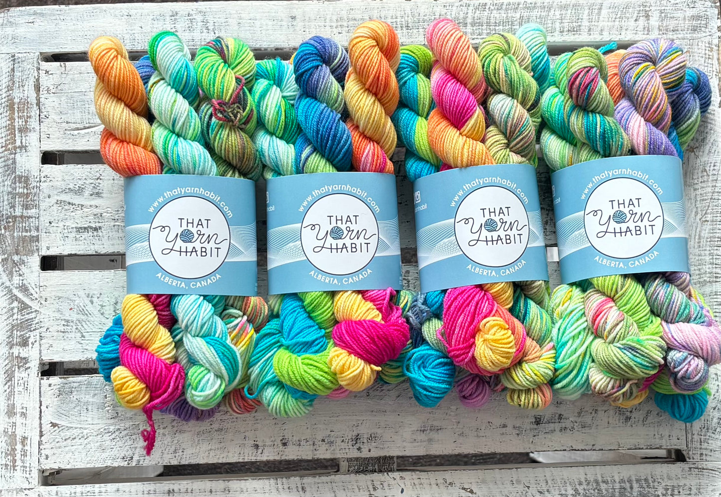 Pool Party Collection Mini Skein Set
