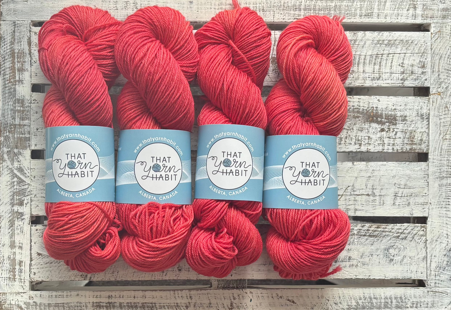 Blood Orange Squishy DK
