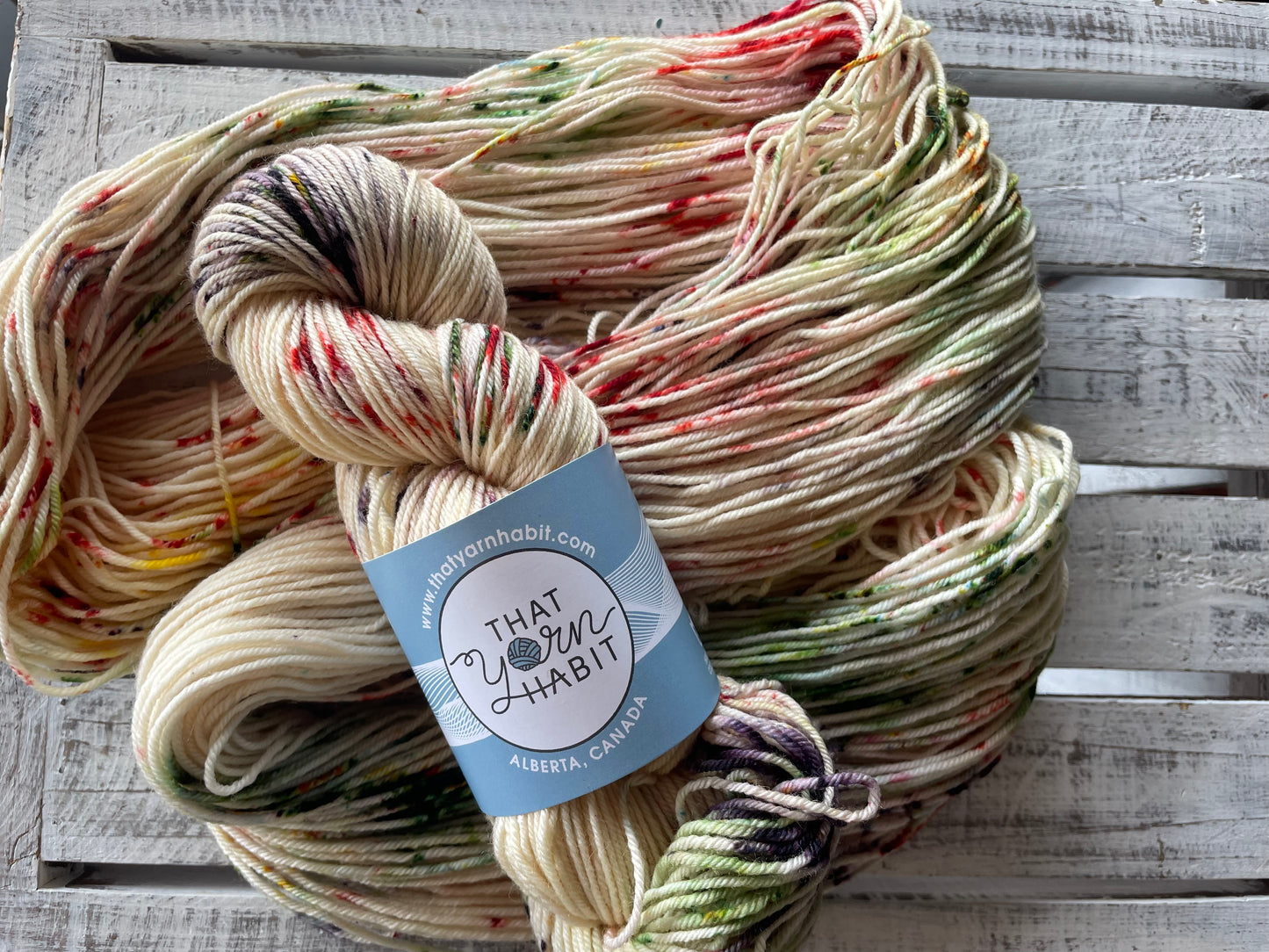 Apple Harvest Squishy DK