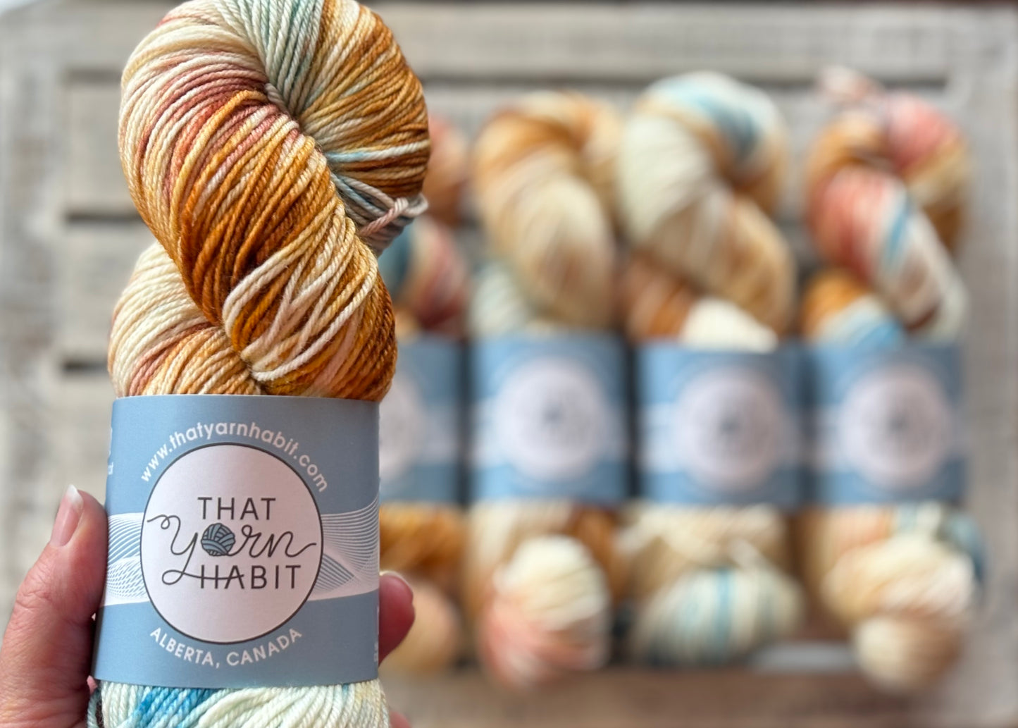 Sea Urchin Squishy DK