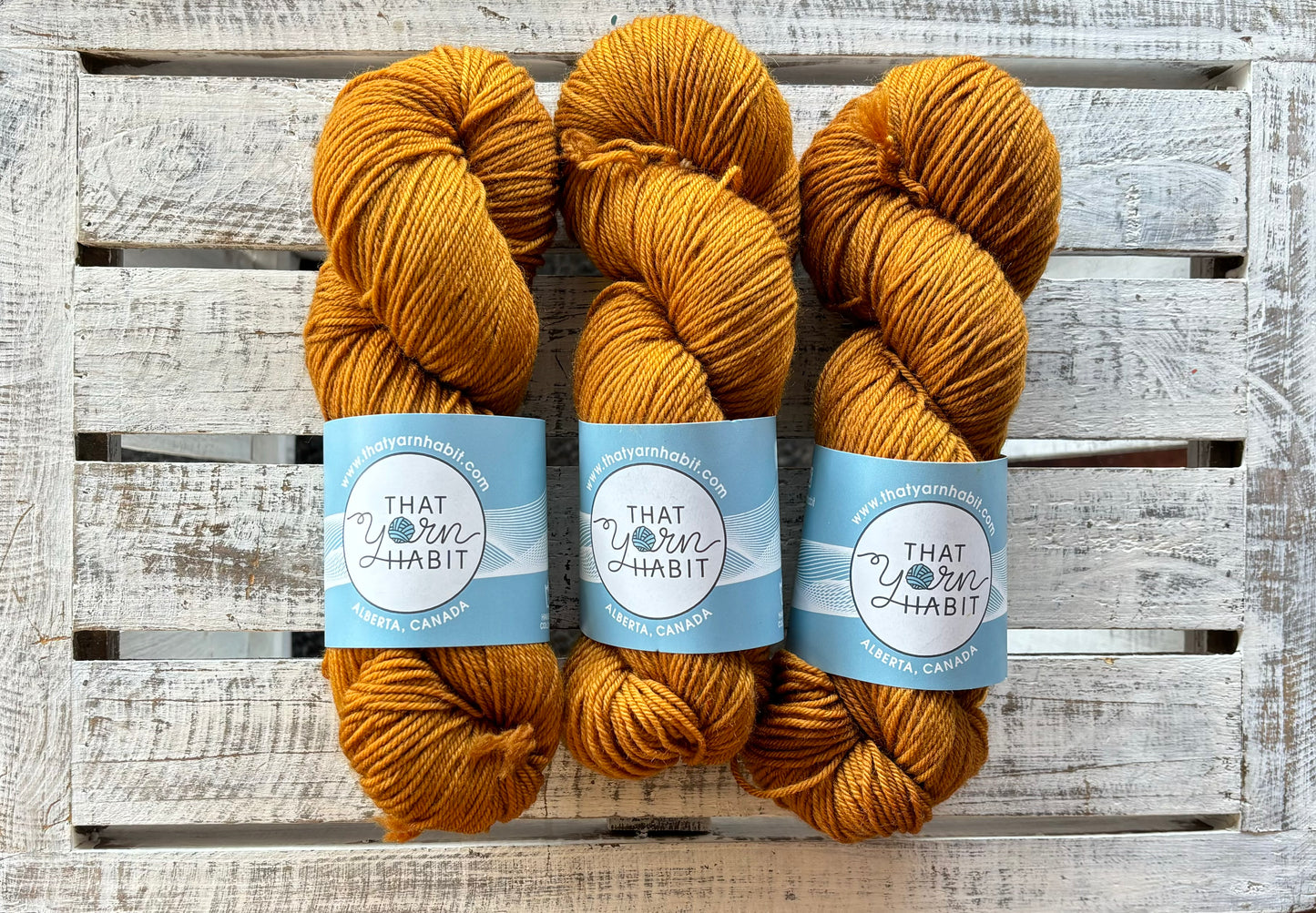 Butterscotch Squishy DK