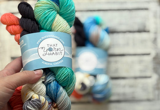 KPop Demon Hunters Collection: I 💙 Derpy & Sussie Sock Set