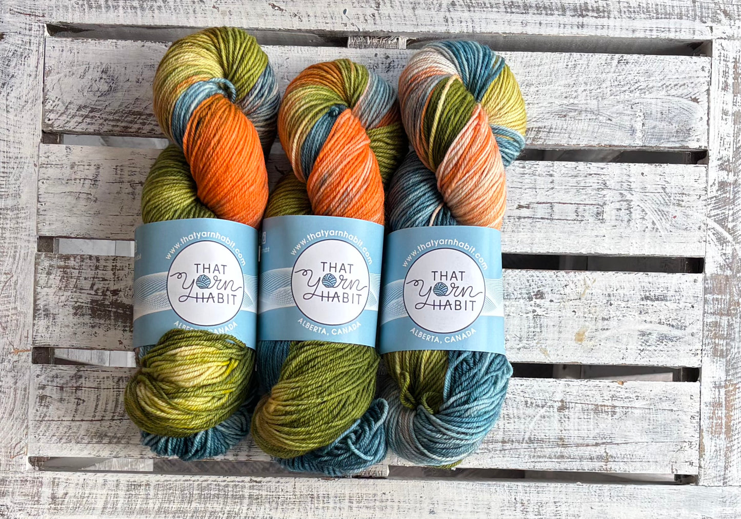 Rebel Adventure Squishy DK
