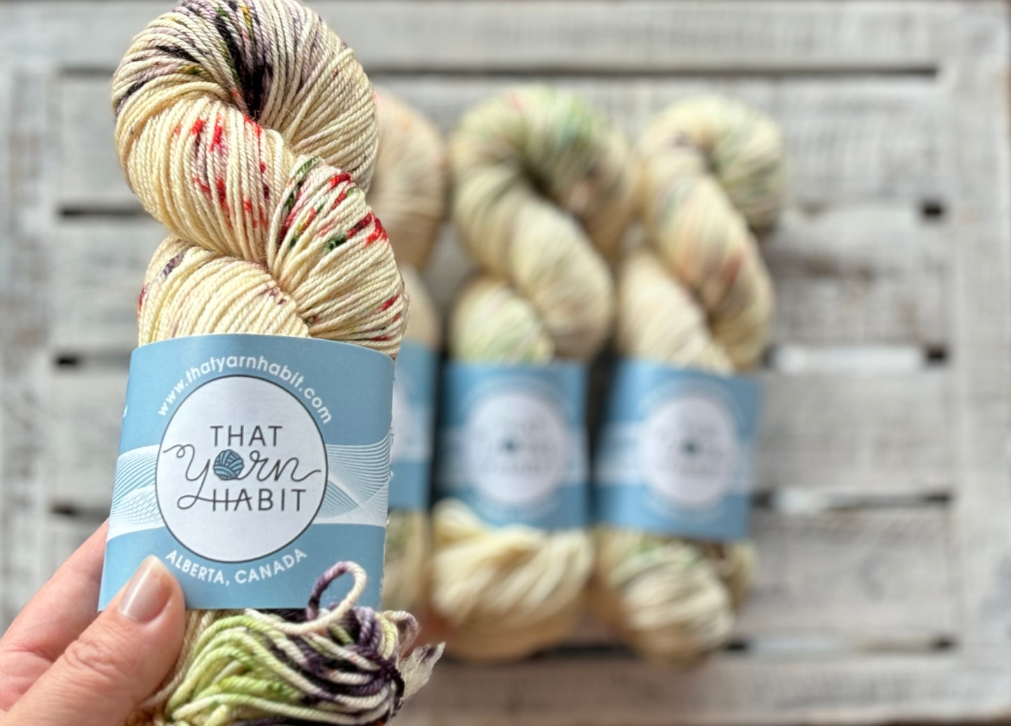 Apple Harvest Squishy DK