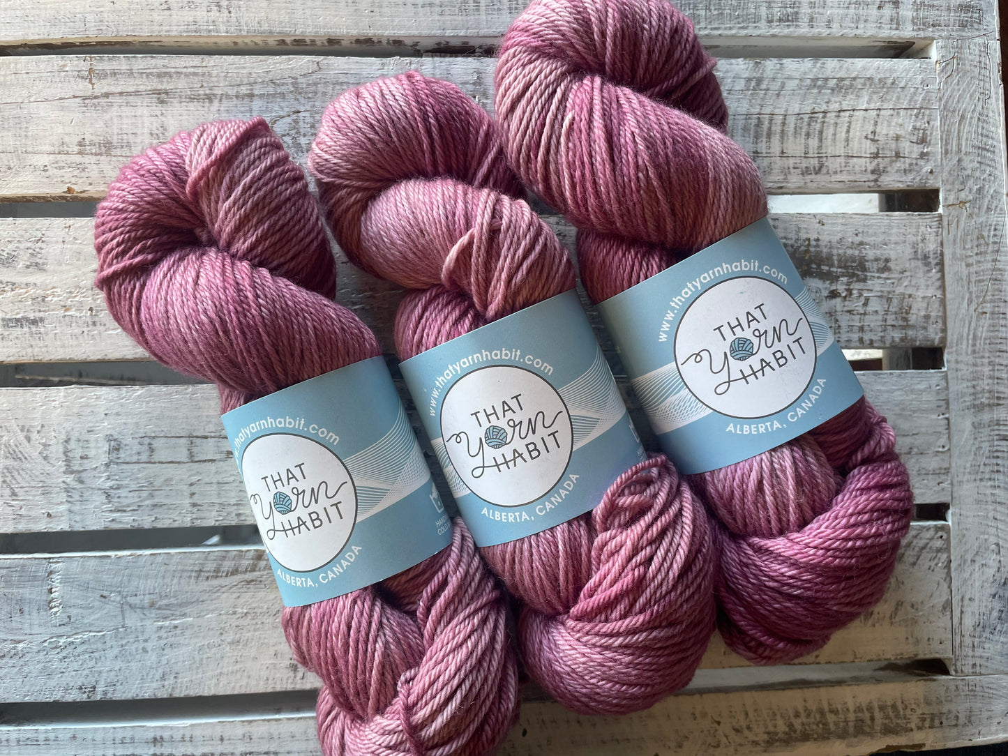 Amnesia Cushy Worsted