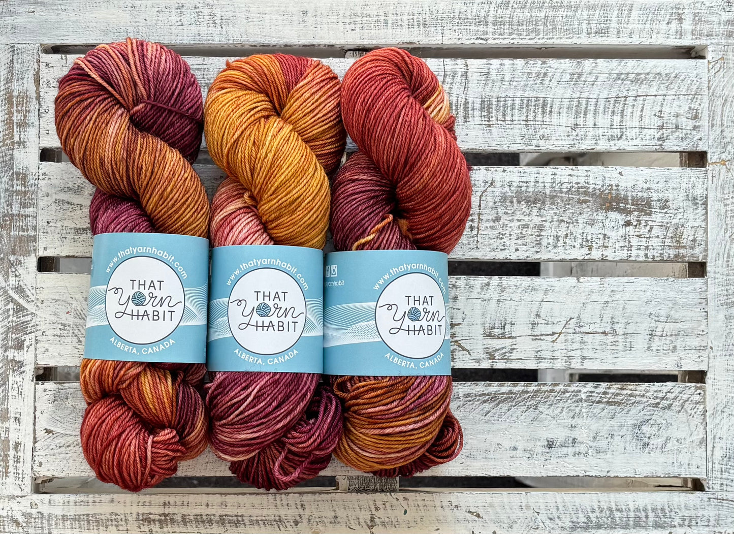 Mulled & Merry Squishy DK