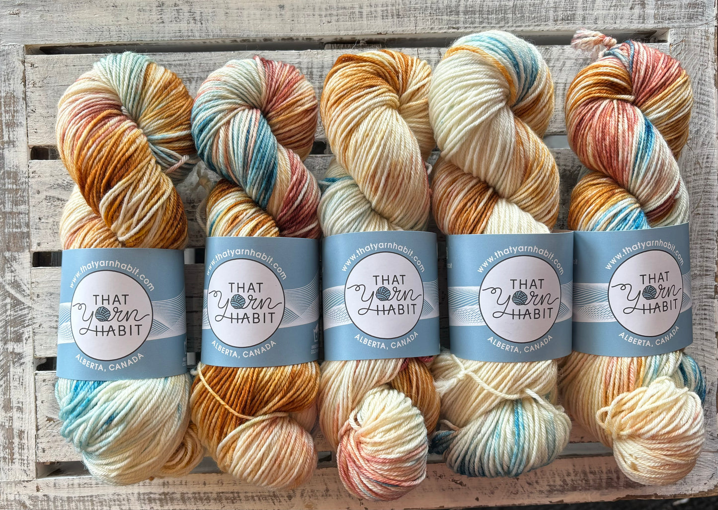 Sea Urchin Squishy DK