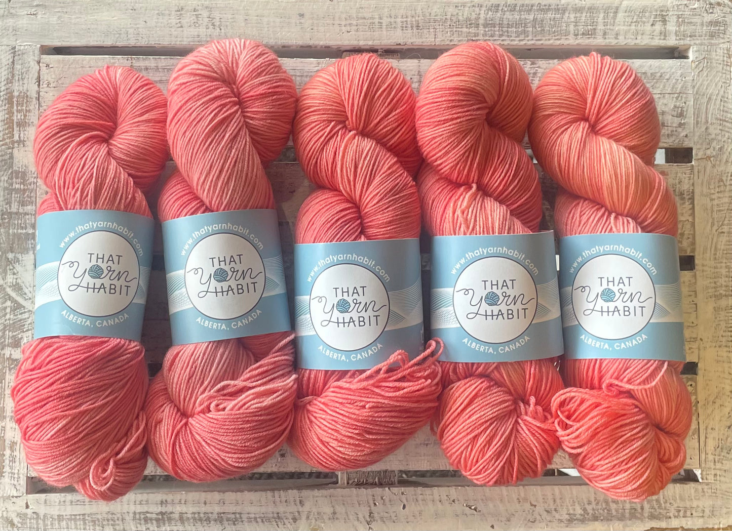 Coral Fingering 80/20