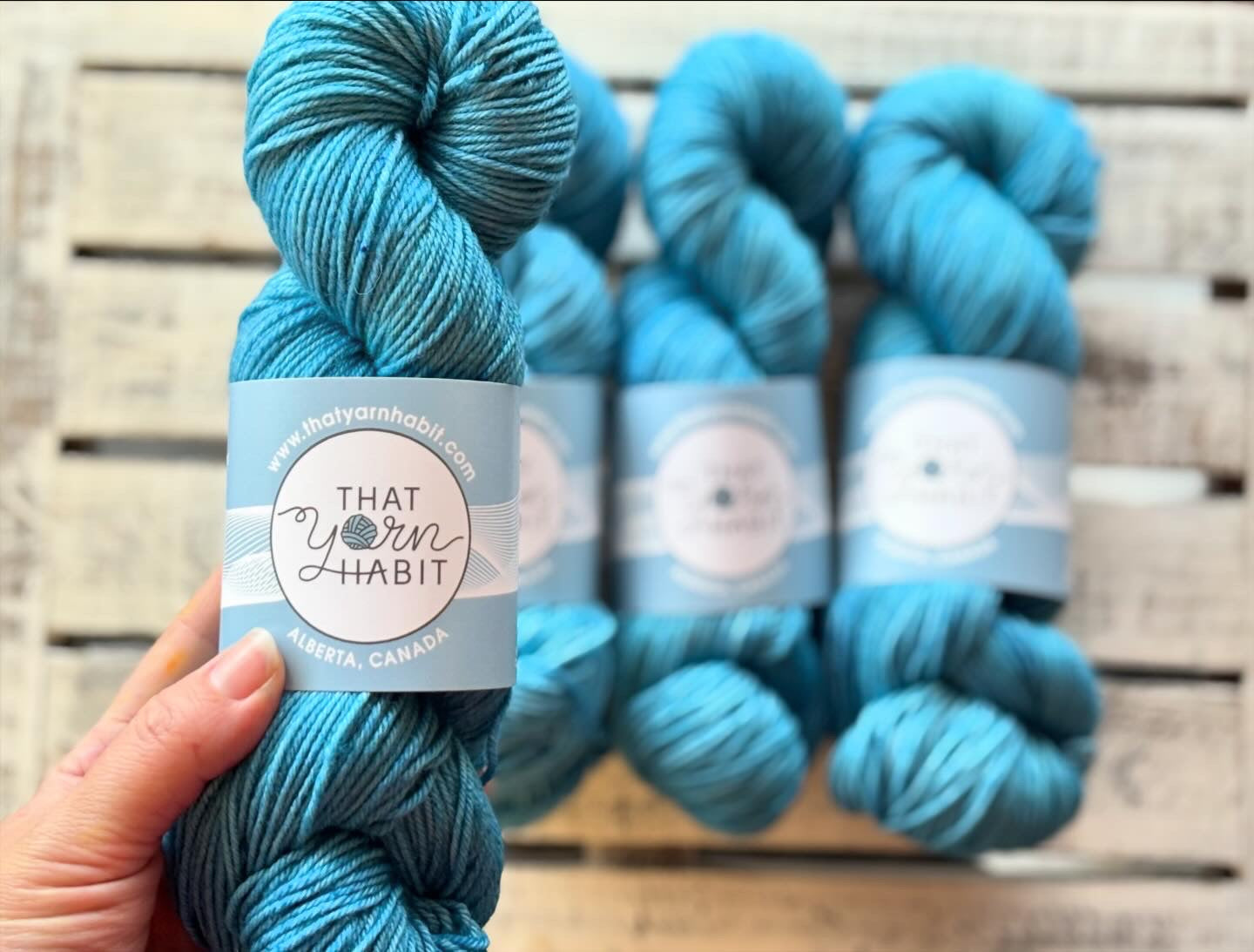 Ocean Spray Squishy DK