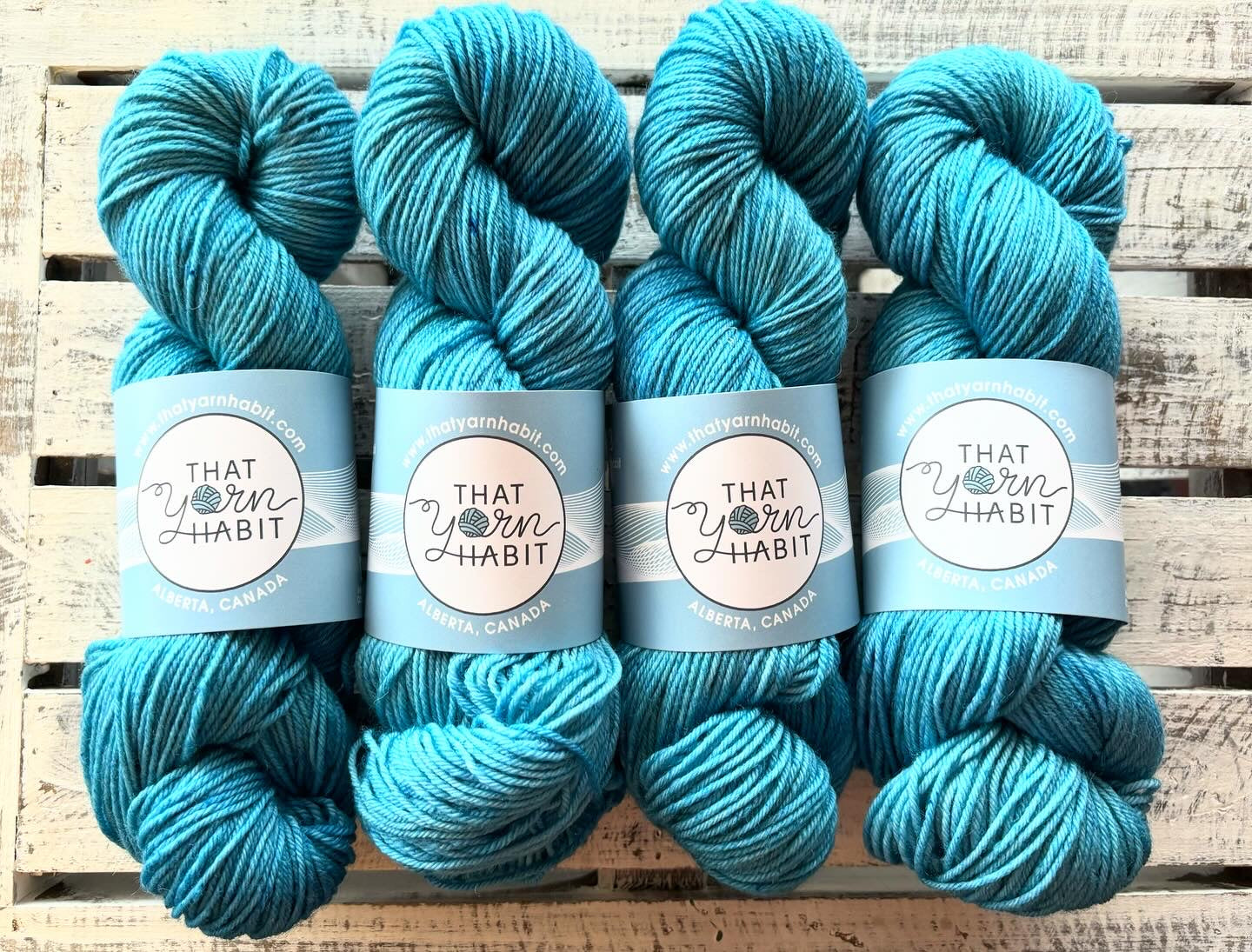 Ocean Spray Squishy DK